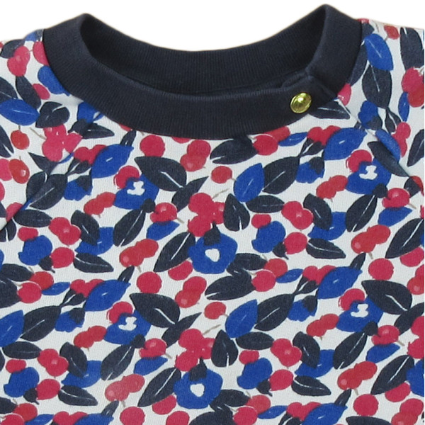 Sweat - PETIT BATEAU - 6 ans (116)