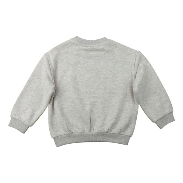 Sweater - JBC - 110 cm (5 jaar) – Tweedehands baby- en kinderkleding van JBC – Les Ptits Potes