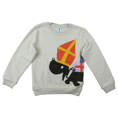 Sweater - 5-6 jaar (110-116)