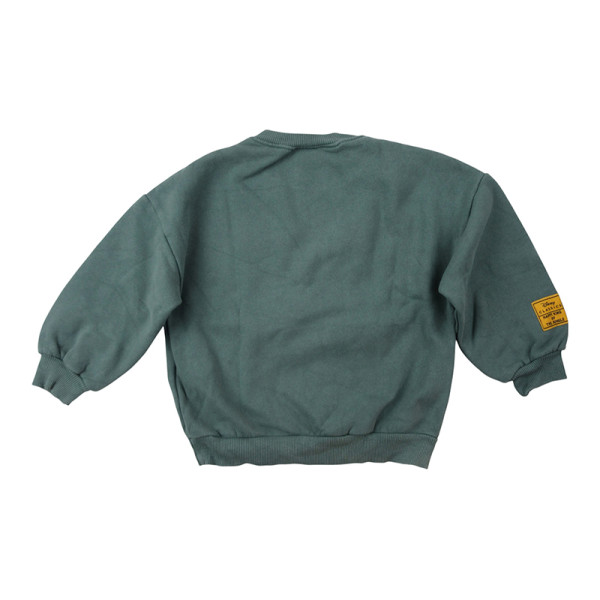Sweat - ZARA - 5 ans (110) – Vêtement d’occasion bébé/enfant Zara – Les Ptits Potes