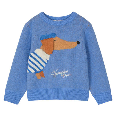 Pull - HAMPTON BAYS - 6 ans (116) – Vêtement d’occasion bébé/enfant Hampton Bays – Les Ptits Potes